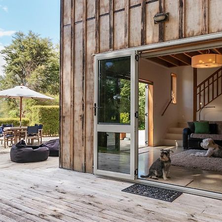 Beech Hill - Pet Friendly Holiday Home Tasman Exteriér fotografie