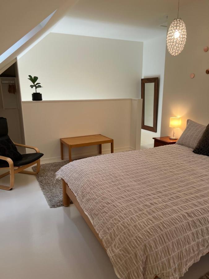 Beech Hill - Pet Friendly Holiday Home Tasman Exteriér fotografie