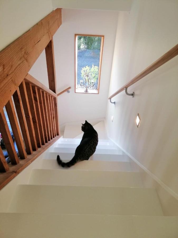 Beech Hill - Pet Friendly Holiday Home Tasman Exteriér fotografie