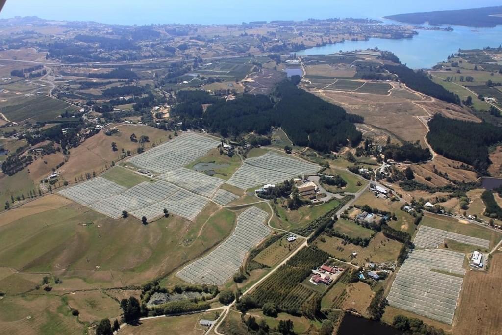 Beech Hill - Pet Friendly Holiday Home Tasman Exteriér fotografie