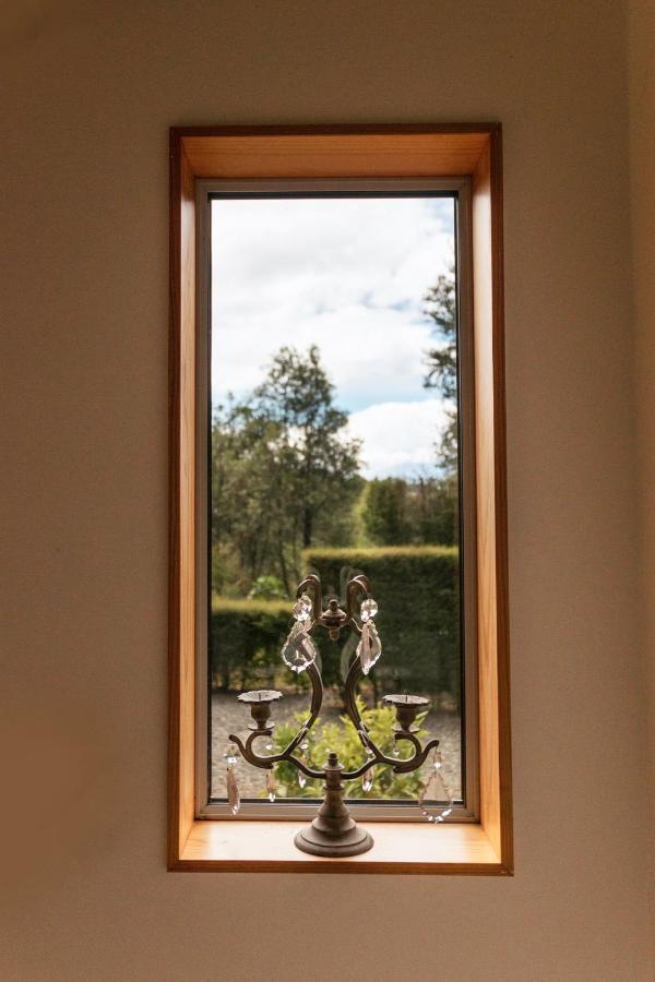 Beech Hill - Pet Friendly Holiday Home Tasman Exteriér fotografie