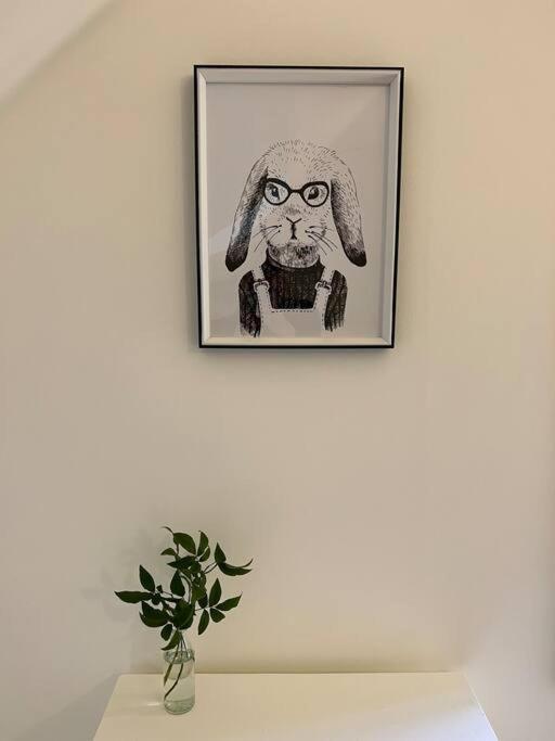 Beech Hill - Pet Friendly Holiday Home Tasman Exteriér fotografie