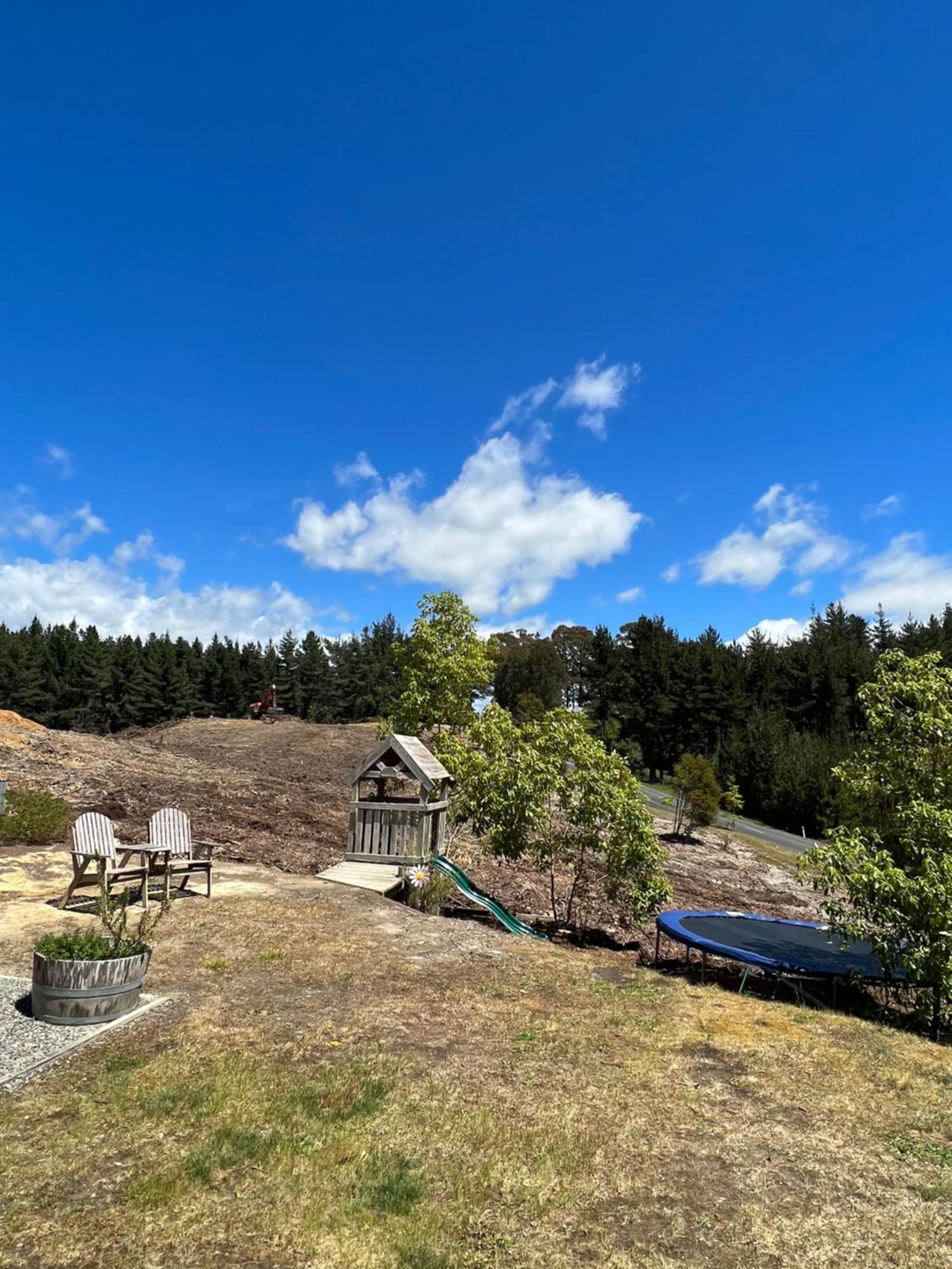 Beech Hill - Pet Friendly Holiday Home Tasman Exteriér fotografie